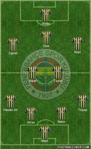 Fenerbahçe SK Formation 2013