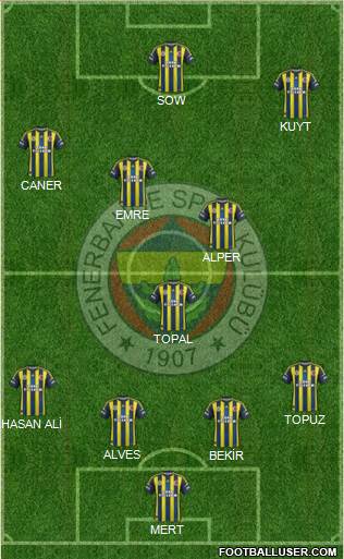 Fenerbahçe SK Formation 2013