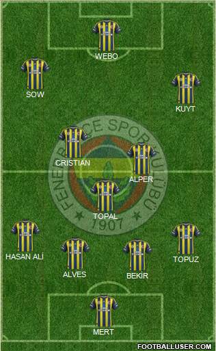 Fenerbahçe SK Formation 2013