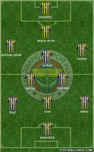 Fenerbahçe SK Formation 2013