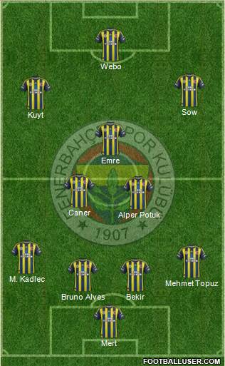 Fenerbahçe SK Formation 2013