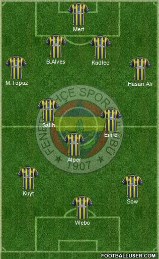 Fenerbahçe SK Formation 2013