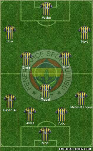 Fenerbahçe SK Formation 2013