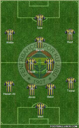 Fenerbahçe SK Formation 2013