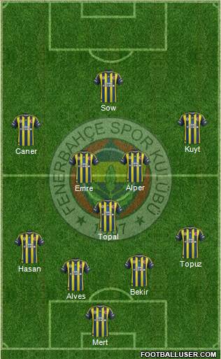 Fenerbahçe SK Formation 2013