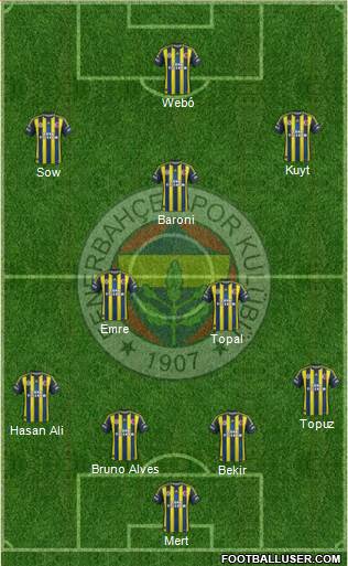 Fenerbahçe SK Formation 2013