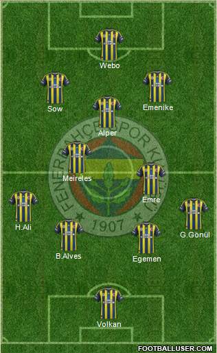 Fenerbahçe SK Formation 2013