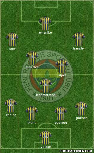 Fenerbahçe SK Formation 2013