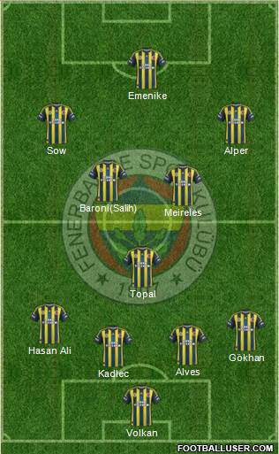 Fenerbahçe SK Formation 2013