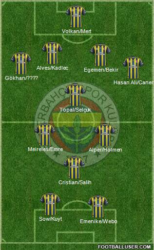 Fenerbahçe SK Formation 2013