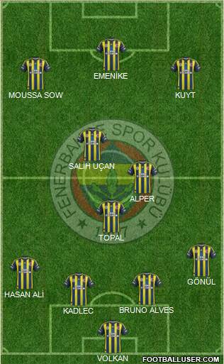 Fenerbahçe SK Formation 2013