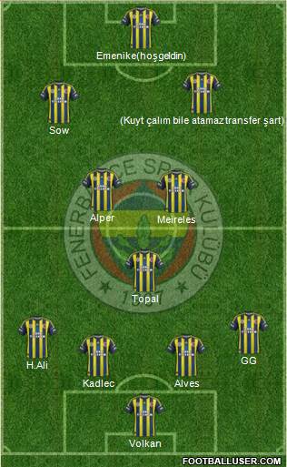 Fenerbahçe SK Formation 2013