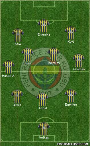 Fenerbahçe SK Formation 2013