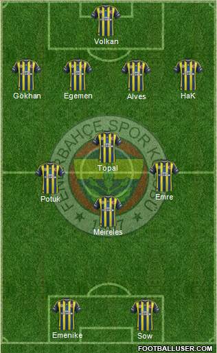 Fenerbahçe SK Formation 2013