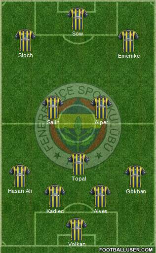 Fenerbahçe SK Formation 2013