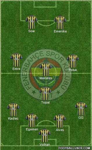 Fenerbahçe SK Formation 2013