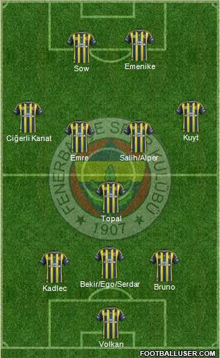 Fenerbahçe SK Formation 2013
