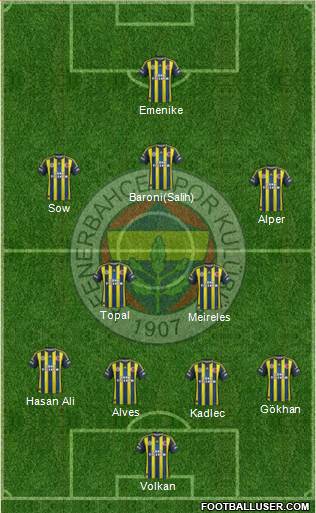 Fenerbahçe SK Formation 2013