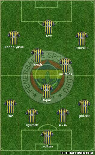 Fenerbahçe SK Formation 2013