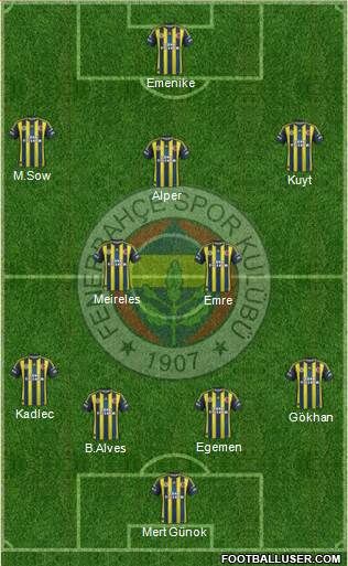 Fenerbahçe SK Formation 2013