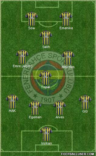 Fenerbahçe SK Formation 2013