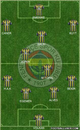 Fenerbahçe SK Formation 2013