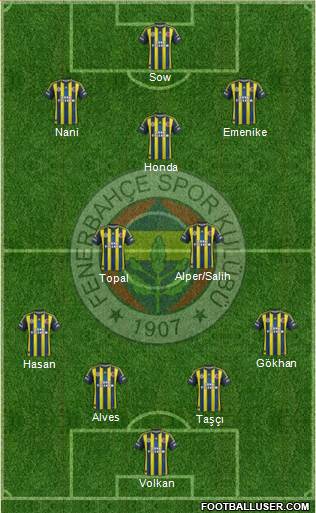 Fenerbahçe SK Formation 2013