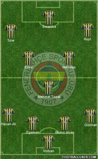 Fenerbahçe SK Formation 2013