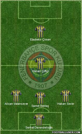 Fenerbahçe SK Formation 2013