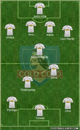 CSD Colo Colo Formation 2013