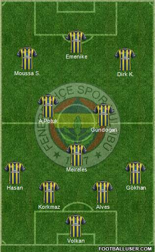 Fenerbahçe SK Formation 2013