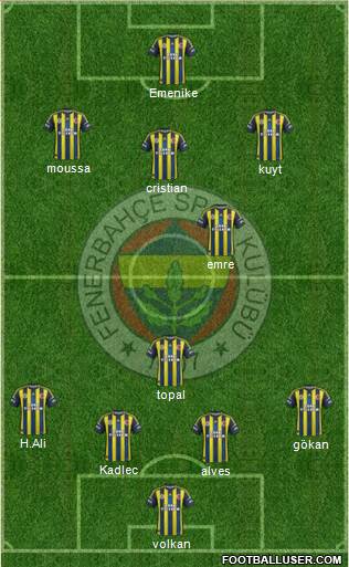 Fenerbahçe SK Formation 2013