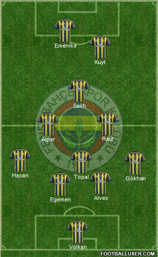 Fenerbahçe SK Formation 2013