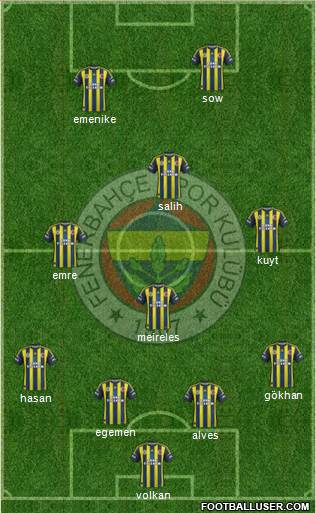 Fenerbahçe SK Formation 2013
