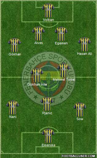 Fenerbahçe SK Formation 2013