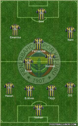 Fenerbahçe SK Formation 2013