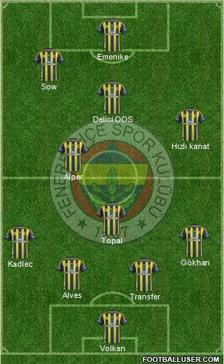 Fenerbahçe SK Formation 2013