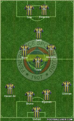 Fenerbahçe SK Formation 2013