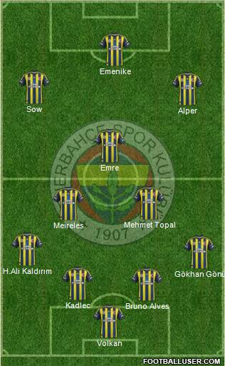 Fenerbahçe SK Formation 2013