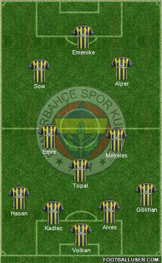 Fenerbahçe SK Formation 2013