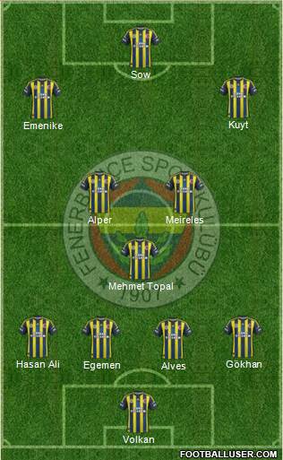 Fenerbahçe SK Formation 2013