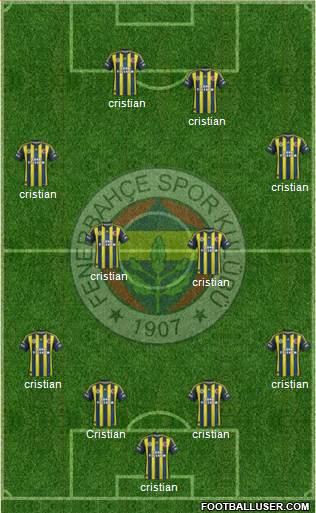 Fenerbahçe SK Formation 2013