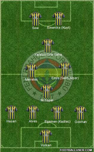 Fenerbahçe SK Formation 2013