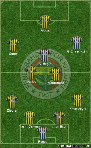 Fenerbahçe SK Formation 2013