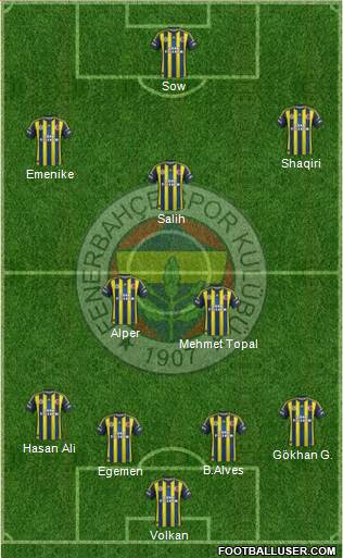 Fenerbahçe SK Formation 2013
