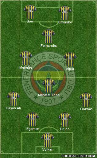 Fenerbahçe SK Formation 2013