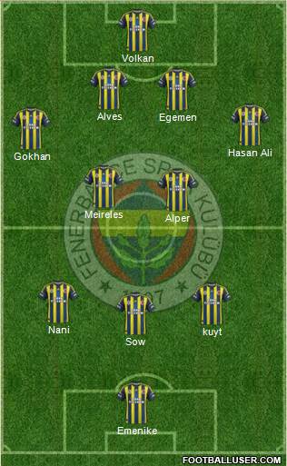 Fenerbahçe SK Formation 2013