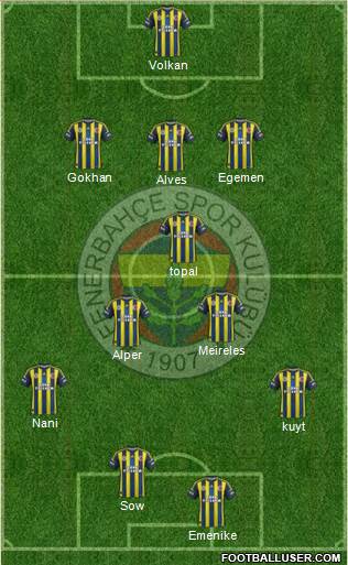 Fenerbahçe SK Formation 2013