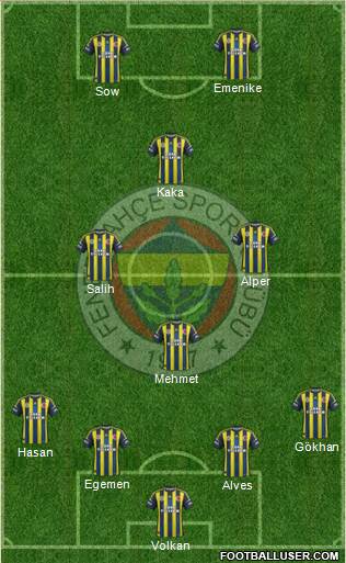 Fenerbahçe SK Formation 2013