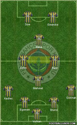 Fenerbahçe SK Formation 2013